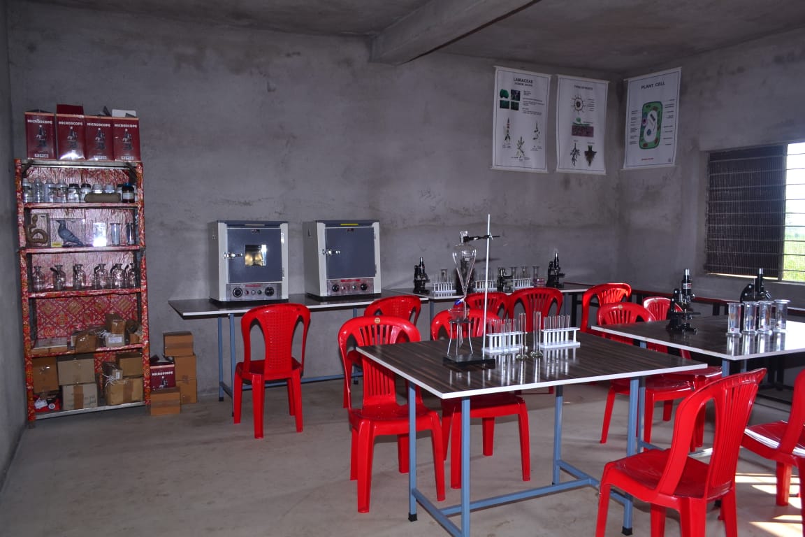 Gallery 8